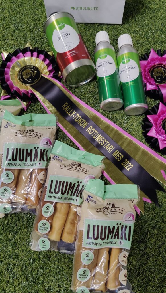 Rally-toko rotumestaruus 13.11.2022