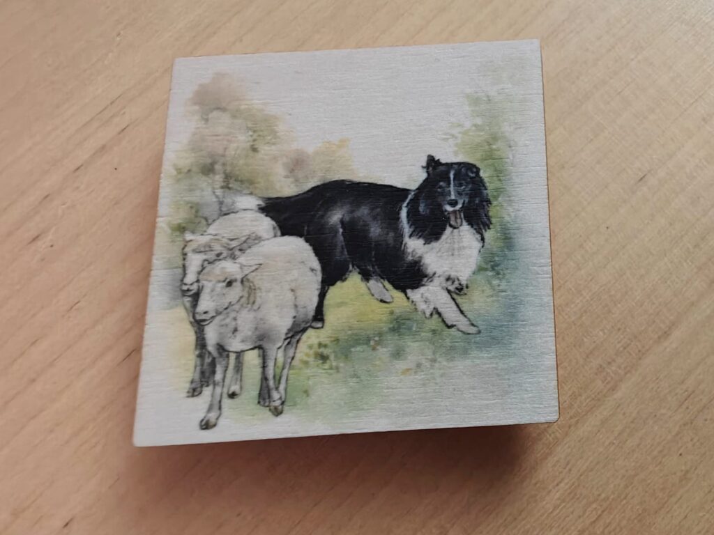 Magneetti Lampaat ja sheltti. Koivuviilua n. 5 cm cm / Suunnittelija: Metsällä, Tanja Kähkönen. Valmistettu Suomessa käsityönä kotimaisesta koivuviilusta. Tuotetta ei saa pestä eikä liottaa.