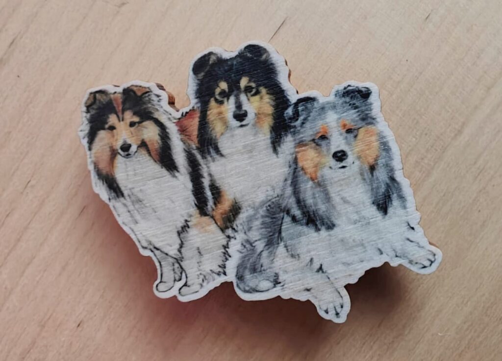 Magneetti Sheltit värisuora. Koivuviilua n. 5 cm / Suunnittelija: Metsällä, Tanja Kähkönen. Valmistettu Suomessa käsityönä kotimaisesta koivuviilusta. Tuotetta ei saa pestä eikä liottaa.