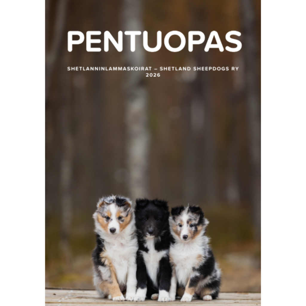 Pentuopas 2026