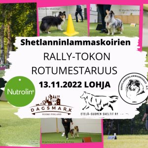 rallyn-rotumestis22